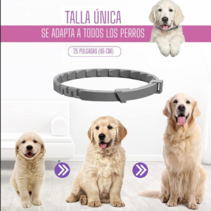 COLLAR ANTIPULGAS PARA MASCOTAS