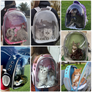 BOLSO VIAJERO PARA MASCOTAS CON CAPSULA